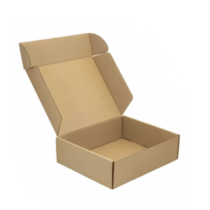 CAJA CARTON MICRO-CORRUGADO 12-C 160x120x40