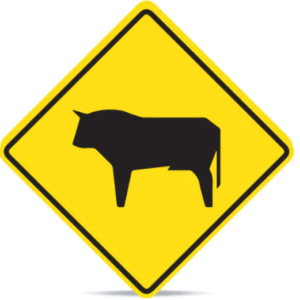 Animales en la via PO-5